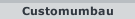 Customumbau